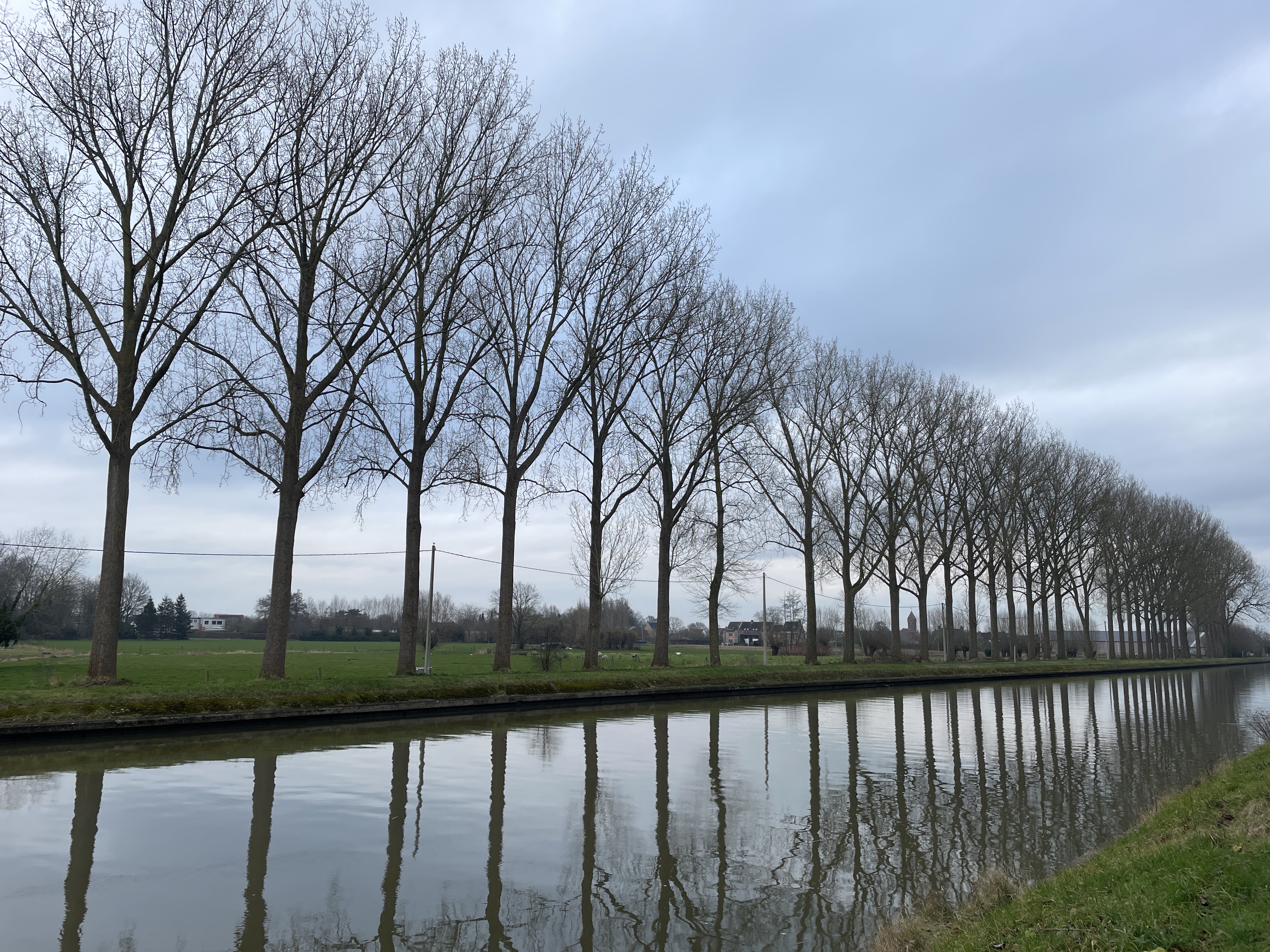 Along the river Along the river