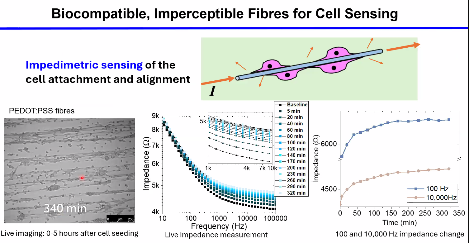 Fibres for cell sensing