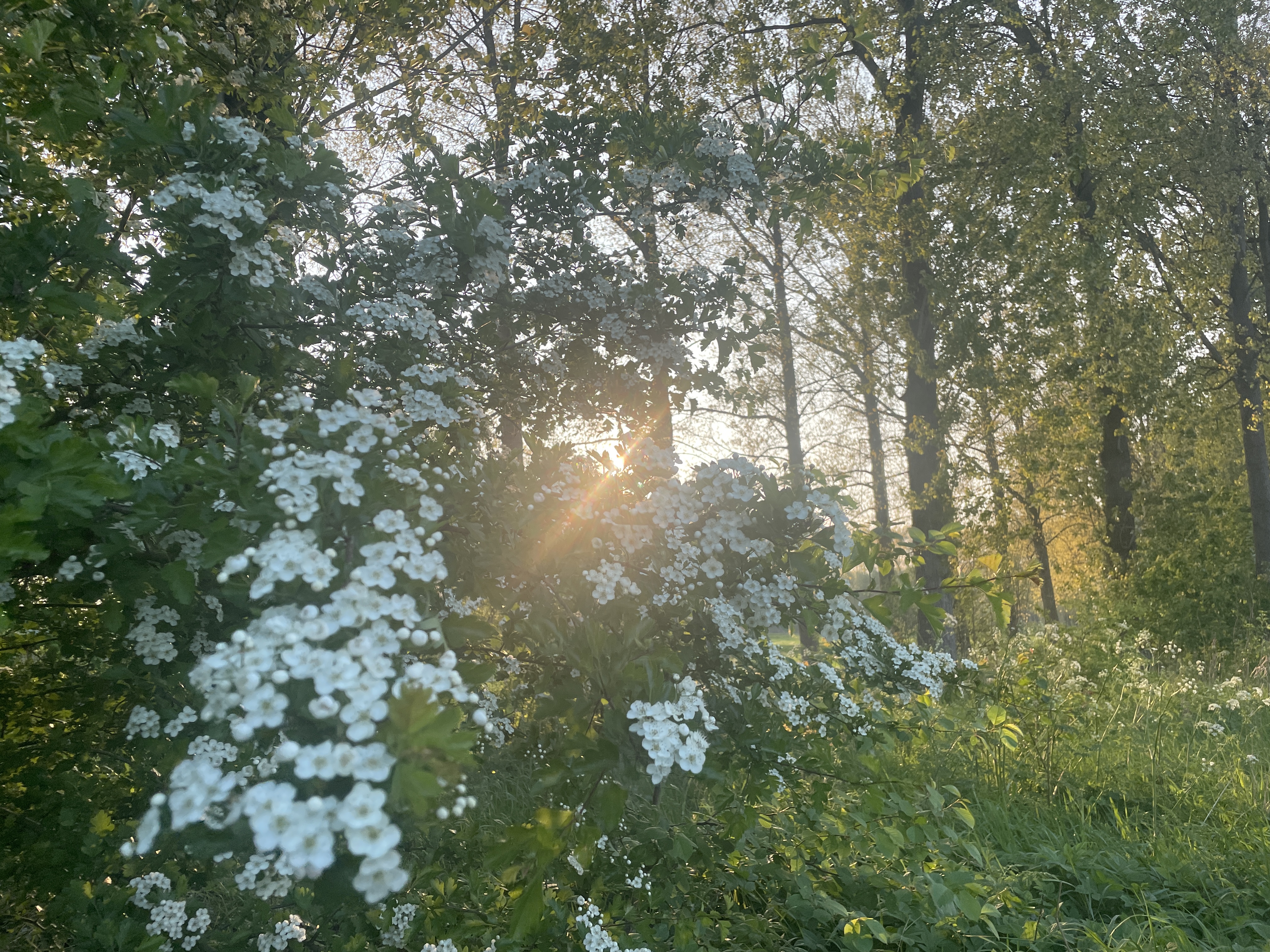 Miles and Moments_20250426