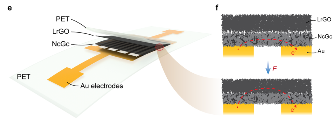Sensor structure