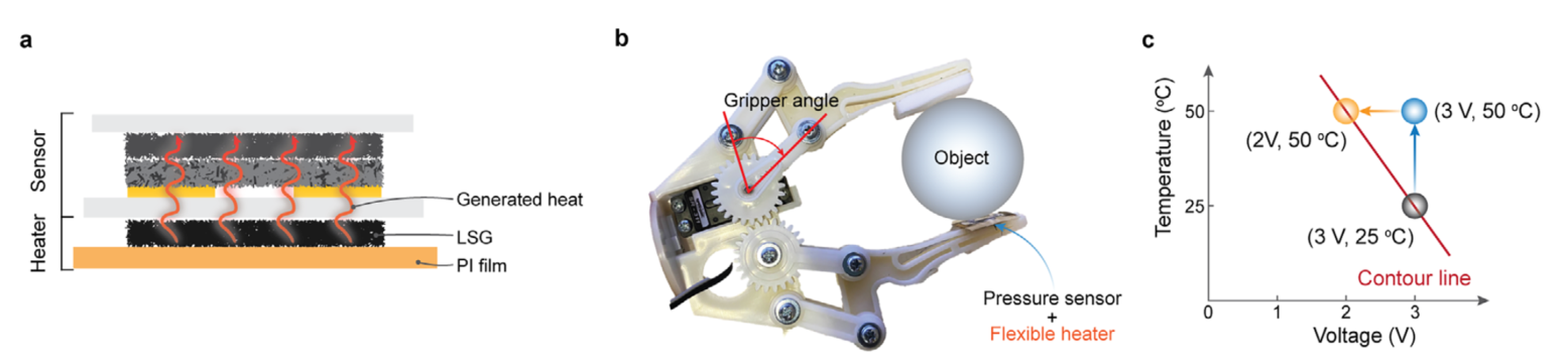 Cross-sectional schematic
