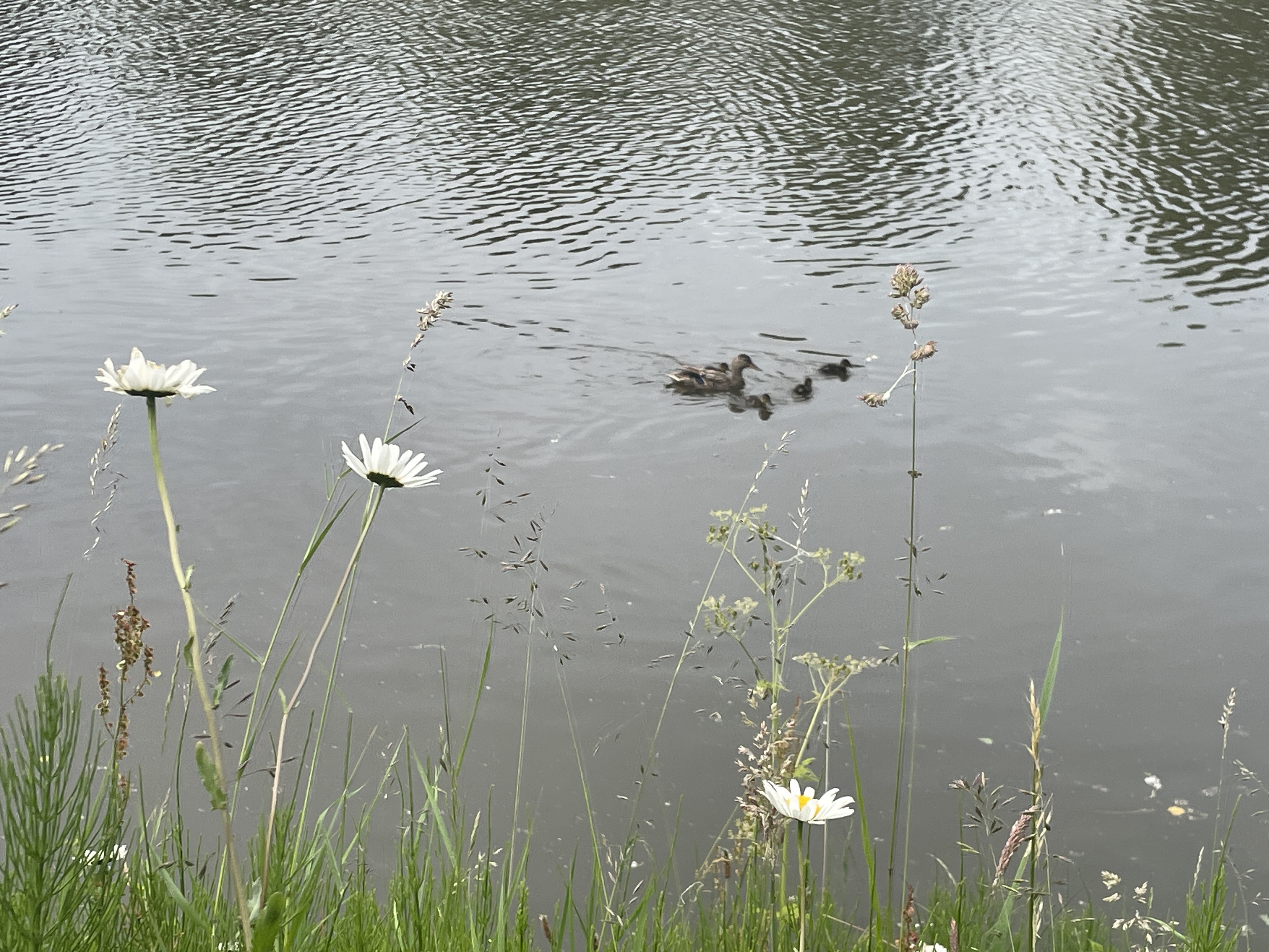 Miles and Moments_20250607