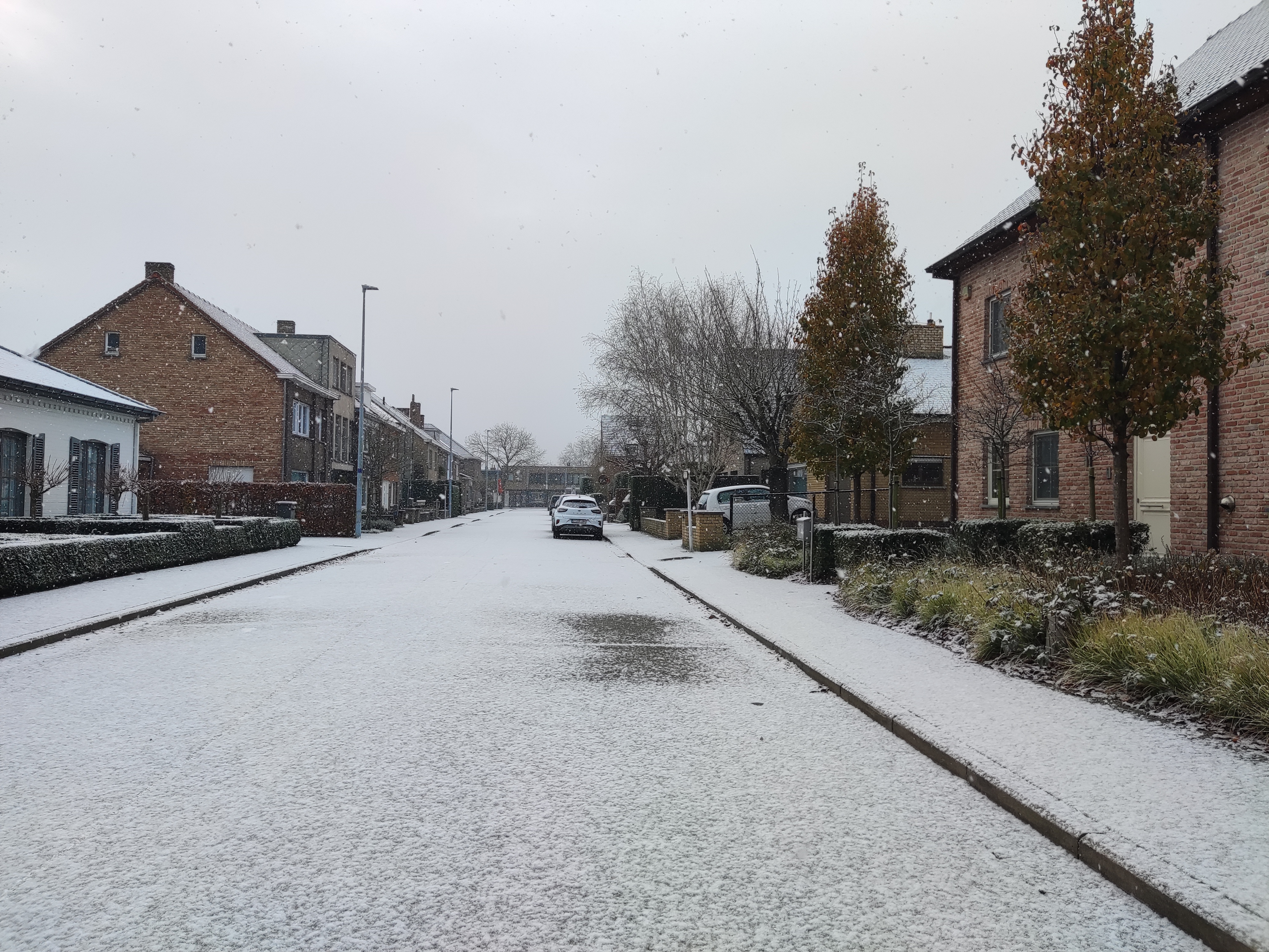 20231202, snow after my running back
